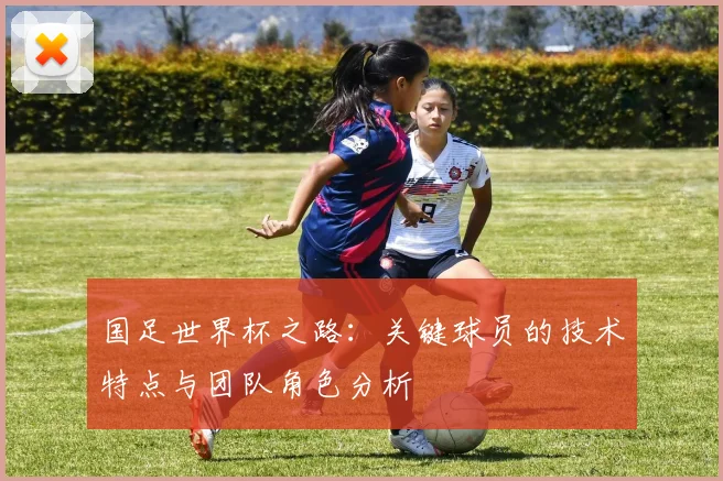 国足世界杯之路：关键球员的技术特点与团队角色分析