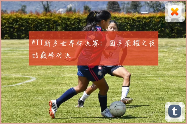 WTT新乡世界杯决赛：国乒荣耀之夜的巅峰对决