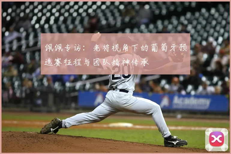 佩佩专访：老将视角下的葡萄牙预选赛征程与团队精神传承